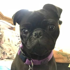 Meet your Posher, Kristine